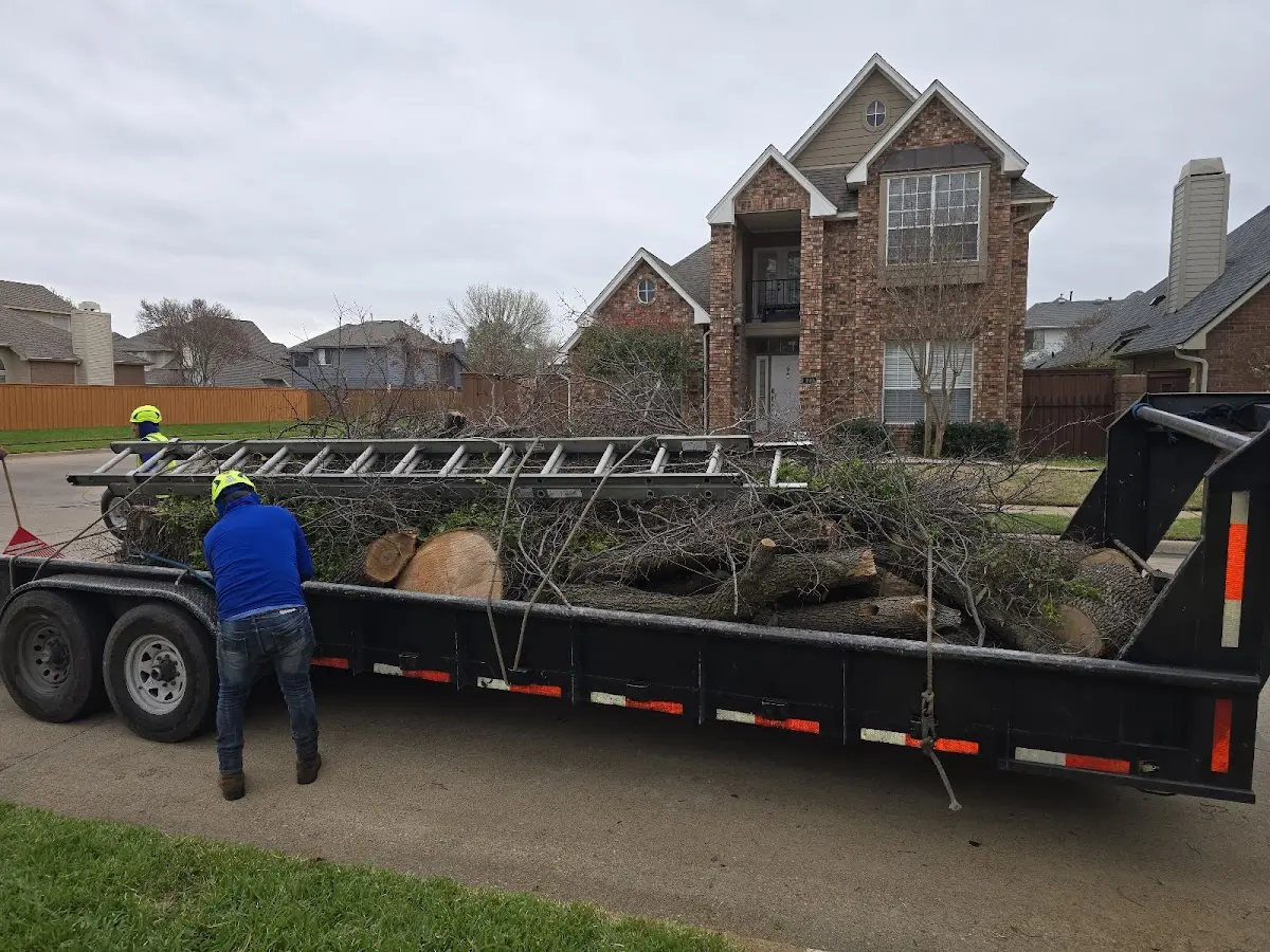 Expert Lot Clearing with proper safety equipment in Pickering
